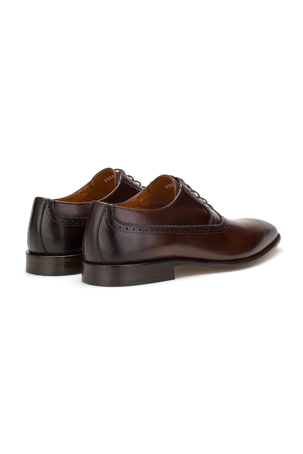 Business-Schuhe auf stilvollem Schuhregal, betontes Braunleder im eleganten Ambiente.