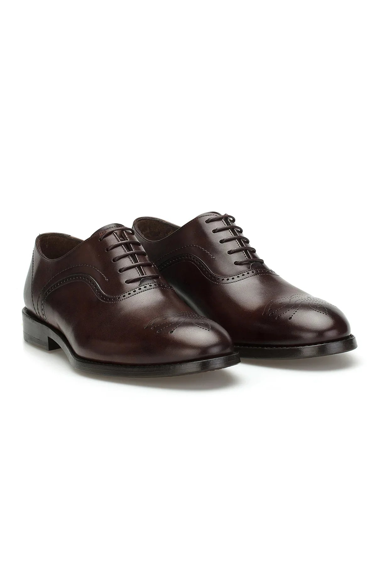 Vorderansicht des Herren Business-Schnürers in Braun aus Rindsleder, zeigt klassische Schnürschuh-Form.